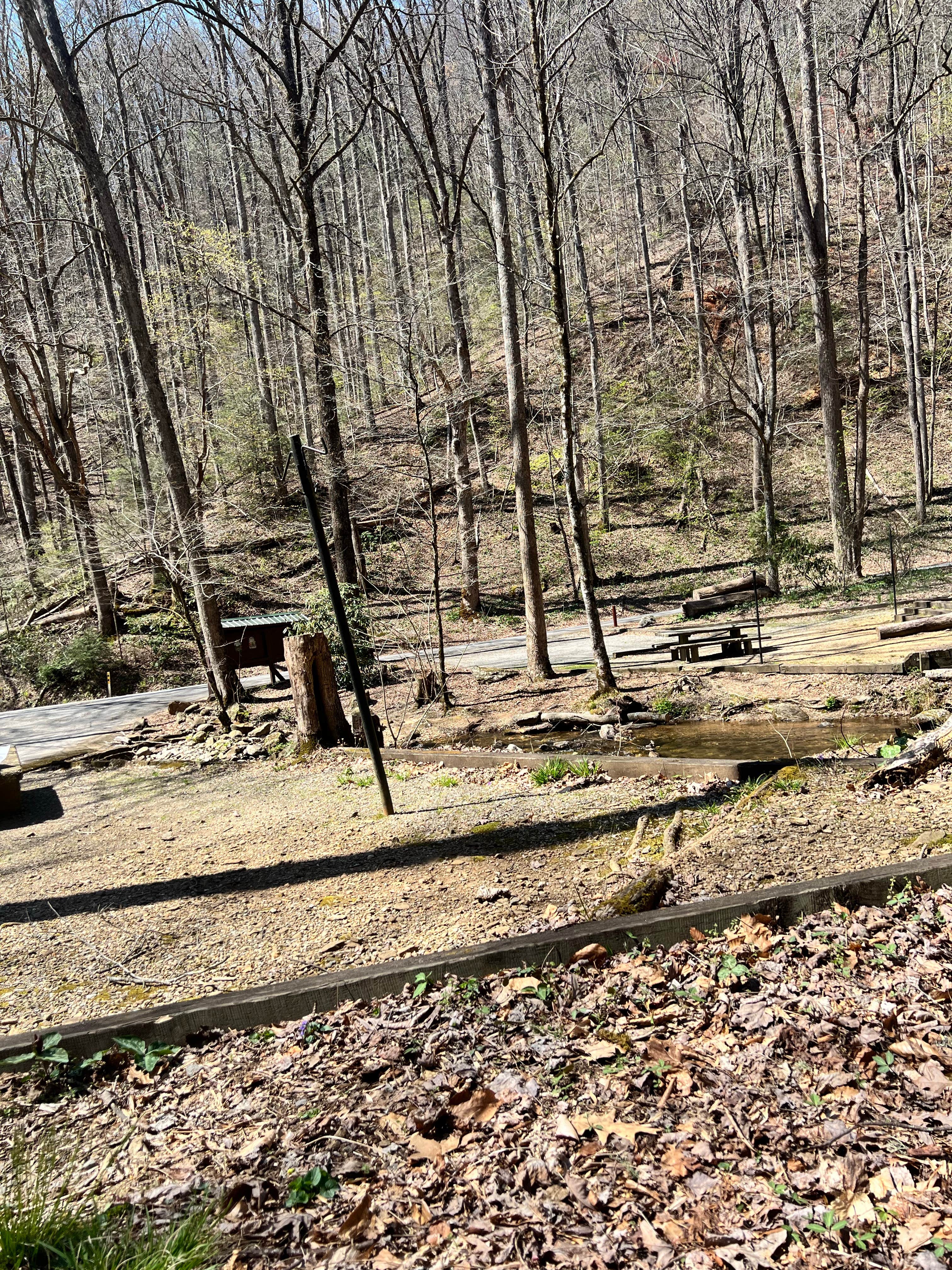 Camper-submitted photo at Andrew's Cove Campground — Chattahoochee Oconee National Forest near Helen, GA