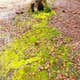 Barrington County Park - TEMPORARILY CLOSED