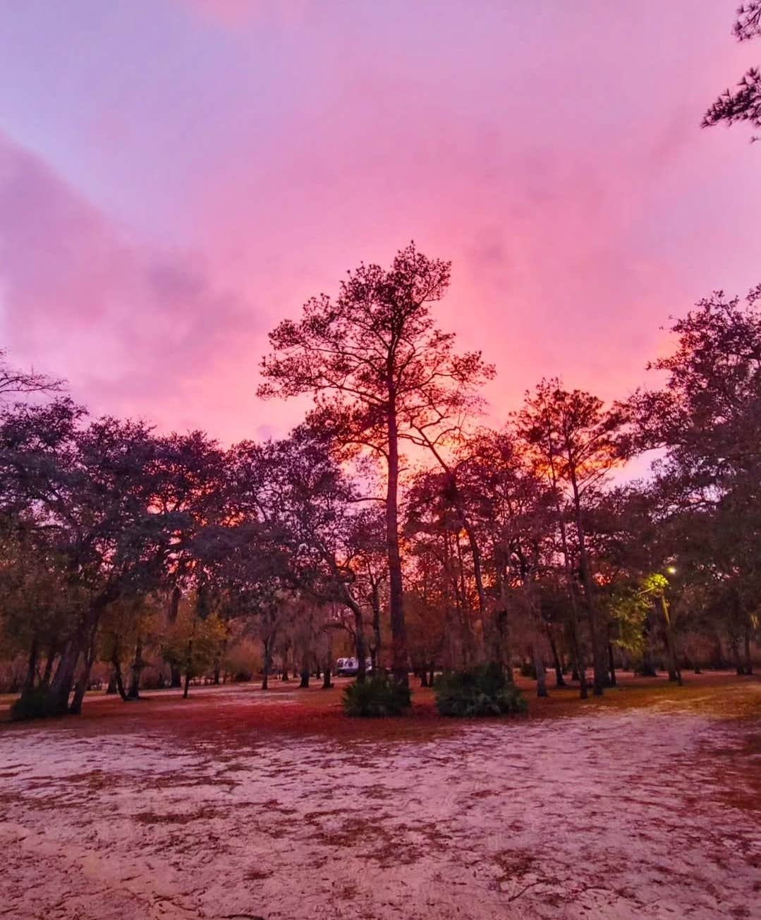 Camper-submitted photo at Barrington County Park - TEMPORARILY CLOSED near Waycross, GA