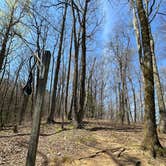 Review photo of Black Rock Mountain State Park Campground by Hanna P., April 22, 2024