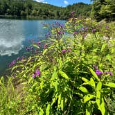 Review photo of Black Rock Mountain State Park Campground by Michael T., September 7, 2024