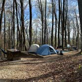 Review photo of Black Rock Mountain State Park Campground by Hanna P., April 22, 2024