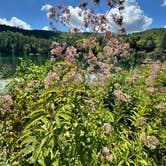 Review photo of Black Rock Mountain State Park Campground by Michael T., September 7, 2024