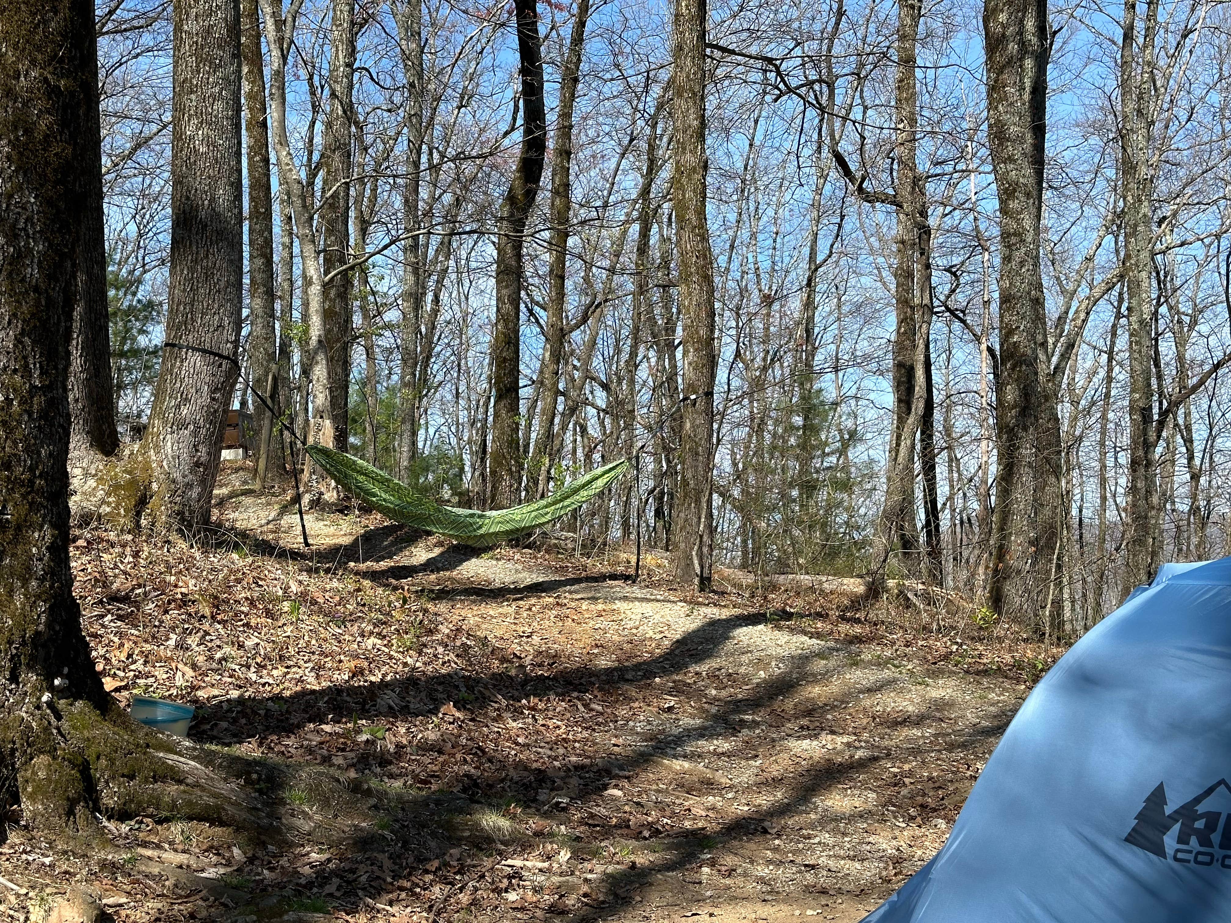 Hanna P.'s photo at Black Rock Mountain State Park Campground near Mountain City, GA