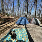 Review photo of Black Rock Mountain State Park Campground by Hanna P., April 22, 2024