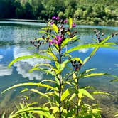 Review photo of Black Rock Mountain State Park Campground by Michael T., September 7, 2024