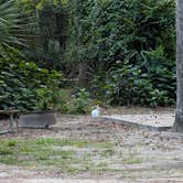 Review photo of Blythe Island Regional Park by C.J. C., July 15, 2026