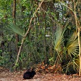 Review photo of Blythe Island Regional Park by Sydney P., April 5, 2025