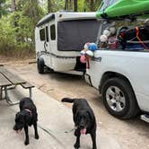 Review photo of Blythe Island Regional Park by Laurie H., March 28, 2024