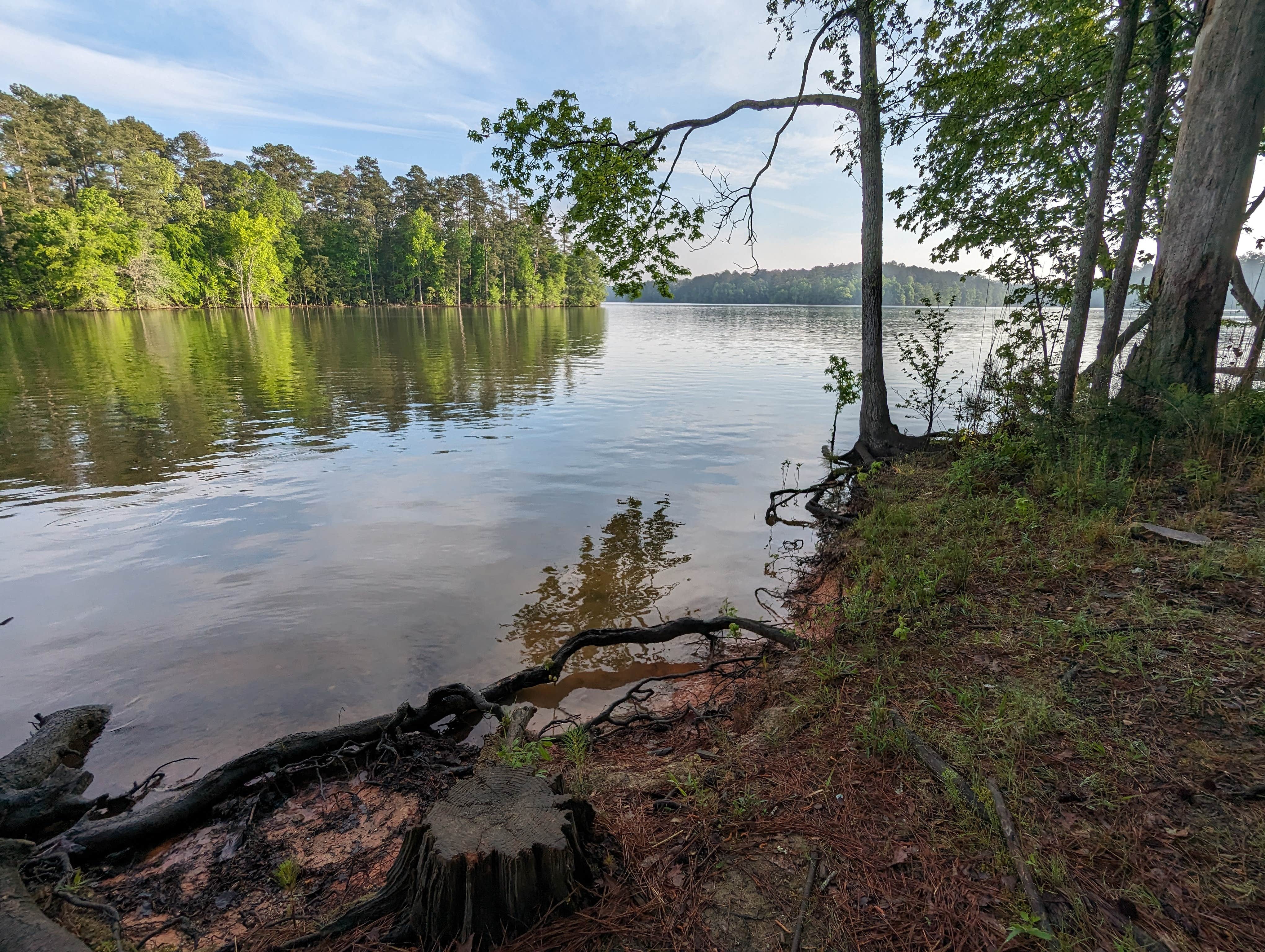 Camper submitted image from Clay Hill Campground - 3