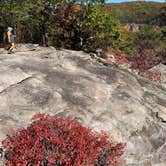 Review photo of West Rim - Cloudland Canyon State Park by TIMOTHY O., October 24, 2024