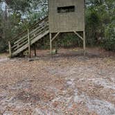 Review photo of Crooked River State Park Campground by Lauren W., January 23, 2024