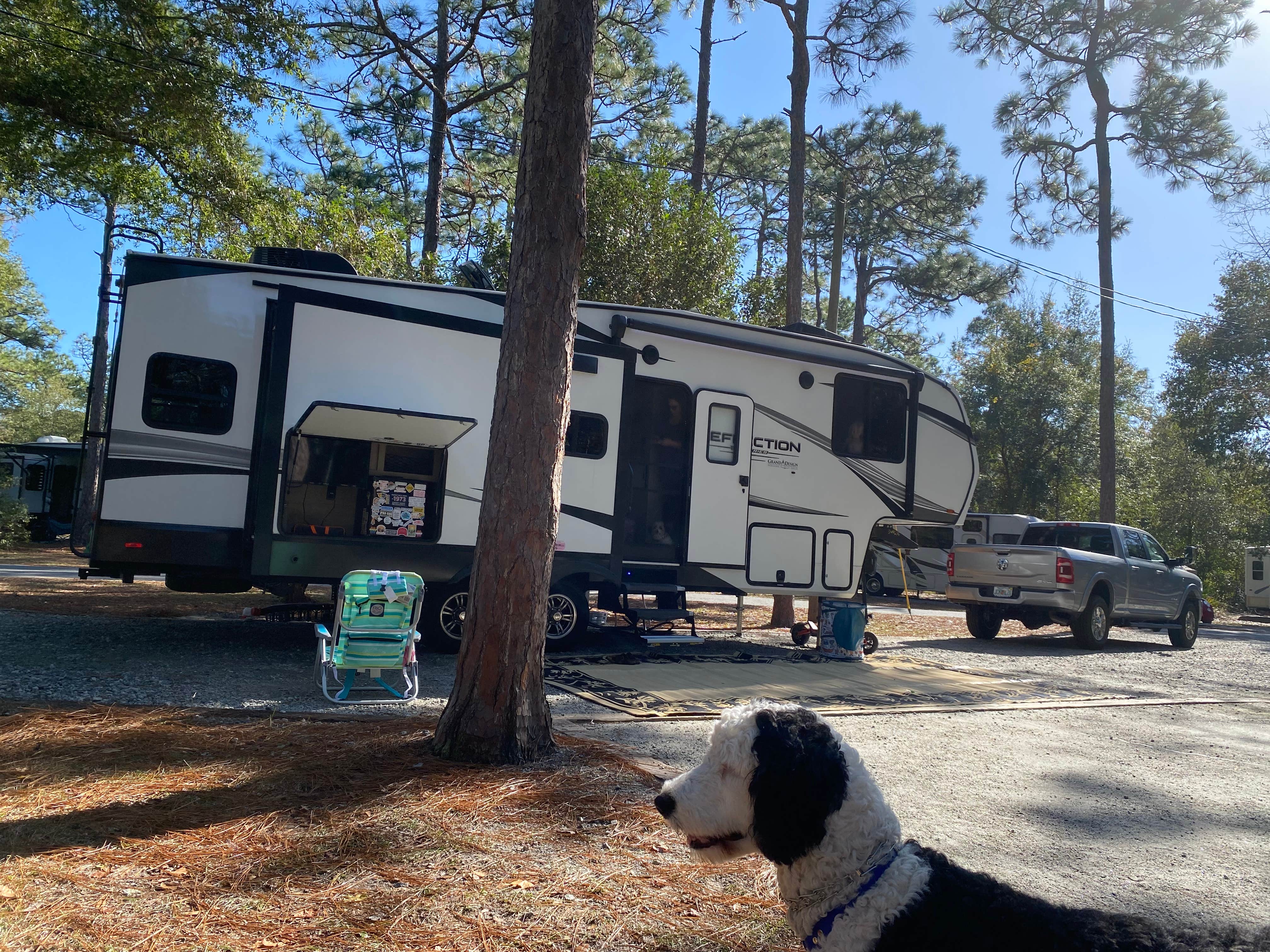 Amanda W.'s photo of camping with pets at Crooked River State Park Campground near Fernandina Beach, FL
