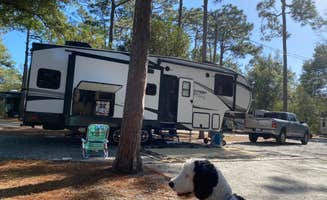 Amanda W.'s photo of camping with pets at Crooked River State Park Campground near Cumberland Island National Seashore
