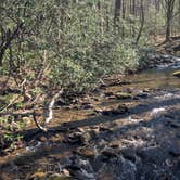 Review photo of Desoto Falls Recreation Area by Colin R., March 28, 2026