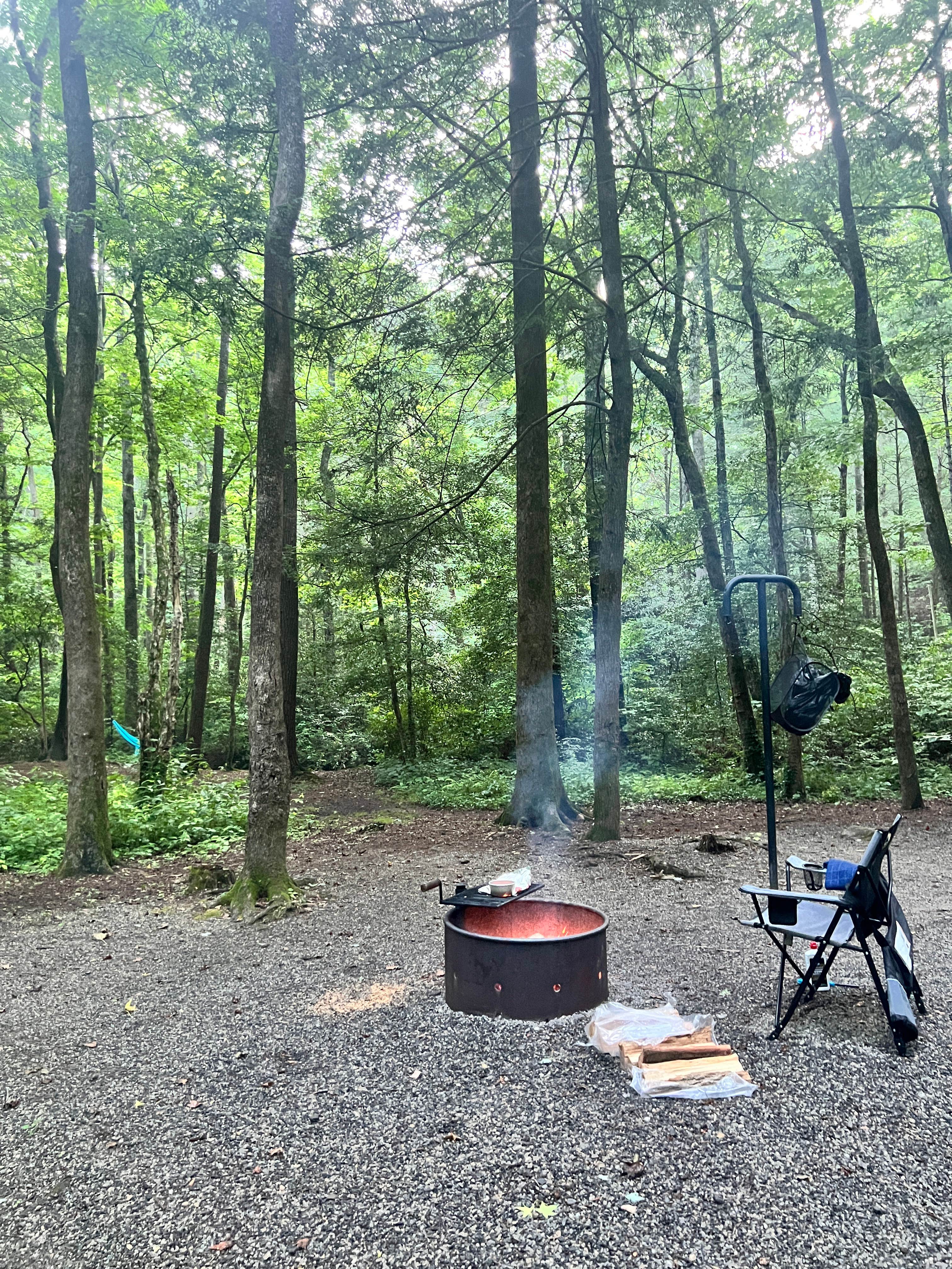 Meaghan G.'s photo at Desoto Falls Recreation Area near Cleveland, GA