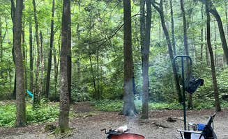 Meaghan G.'s photo at Desoto Falls Recreation Area near Chattahoochee-Oconee National Forests