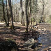 Review photo of Desoto Falls Recreation Area by Colin R., March 28, 2026
