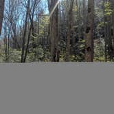 Review photo of Desoto Falls Recreation Area by Colin R., March 28, 2026