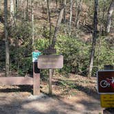 Review photo of Desoto Falls Recreation Area by Colin R., March 28, 2026