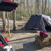 Review photo of Desoto Falls Recreation Area by Colin R., March 28, 2026