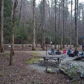 Review photo of Desoto Falls Recreation Area by Jacob F., March 27, 2024