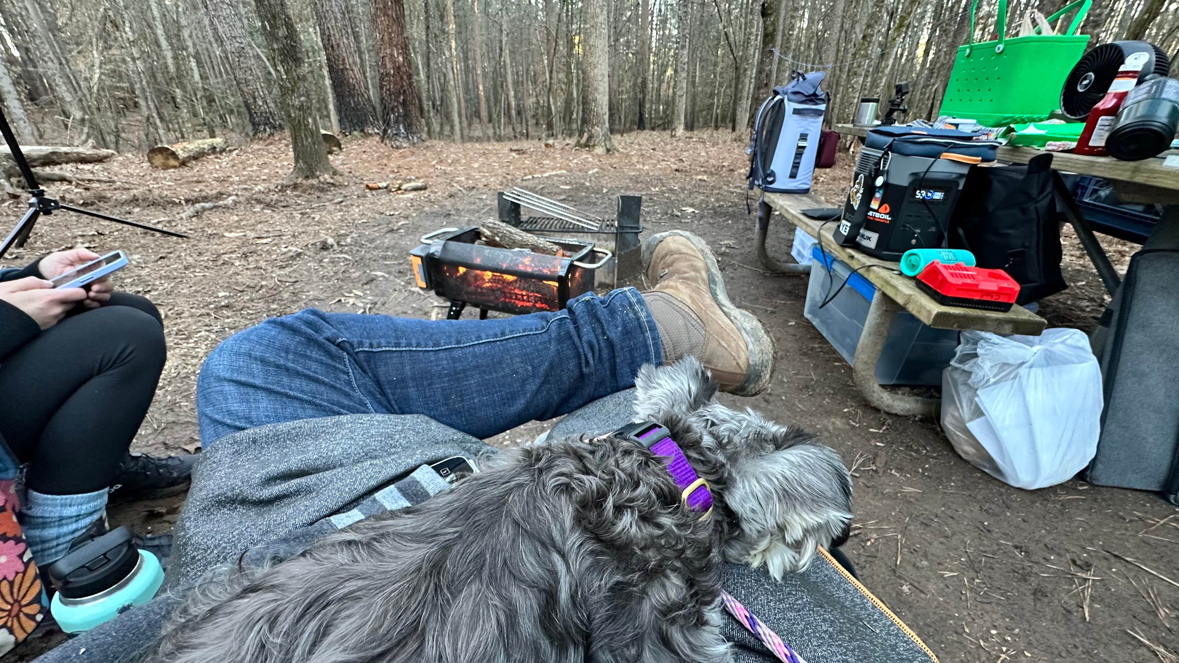 Chad S.'s photo of camping with pets at Don Carter State Park Campground near Lake Sidney Lanier