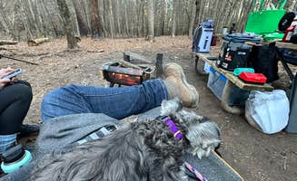 Chad S.'s photo of camping with pets at Don Carter State Park Campground near Baldwin, GA