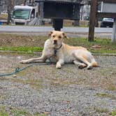 Review photo of Eastbank by Trish T., February 22, 2026