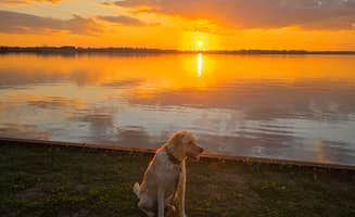 Trish T.'s photo of camping with pets at Eastbank near Midway, FL