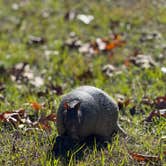 Review photo of Eastbank by Krystal T., January 8, 2026