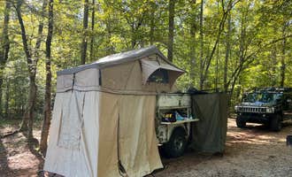 Camping near Indian Springs State Park Campground: Newton Factory Shoals Rec Area, Mansfield, Georgia
