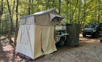 Nicolle's photo at Newton Factory Shoals Rec Area near Monticello, GA