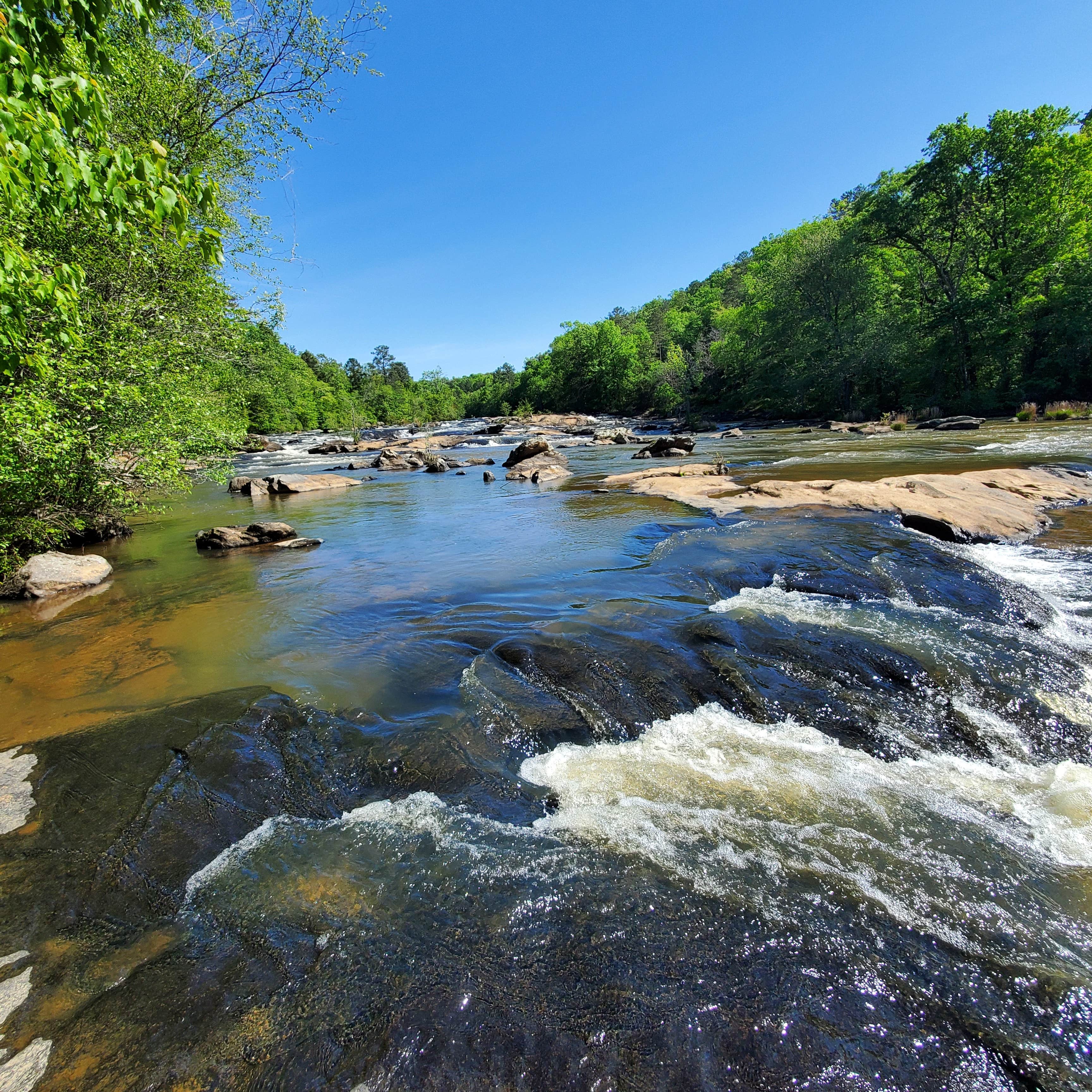 Camper submitted image from Newton Factory Shoals Rec Area - 2