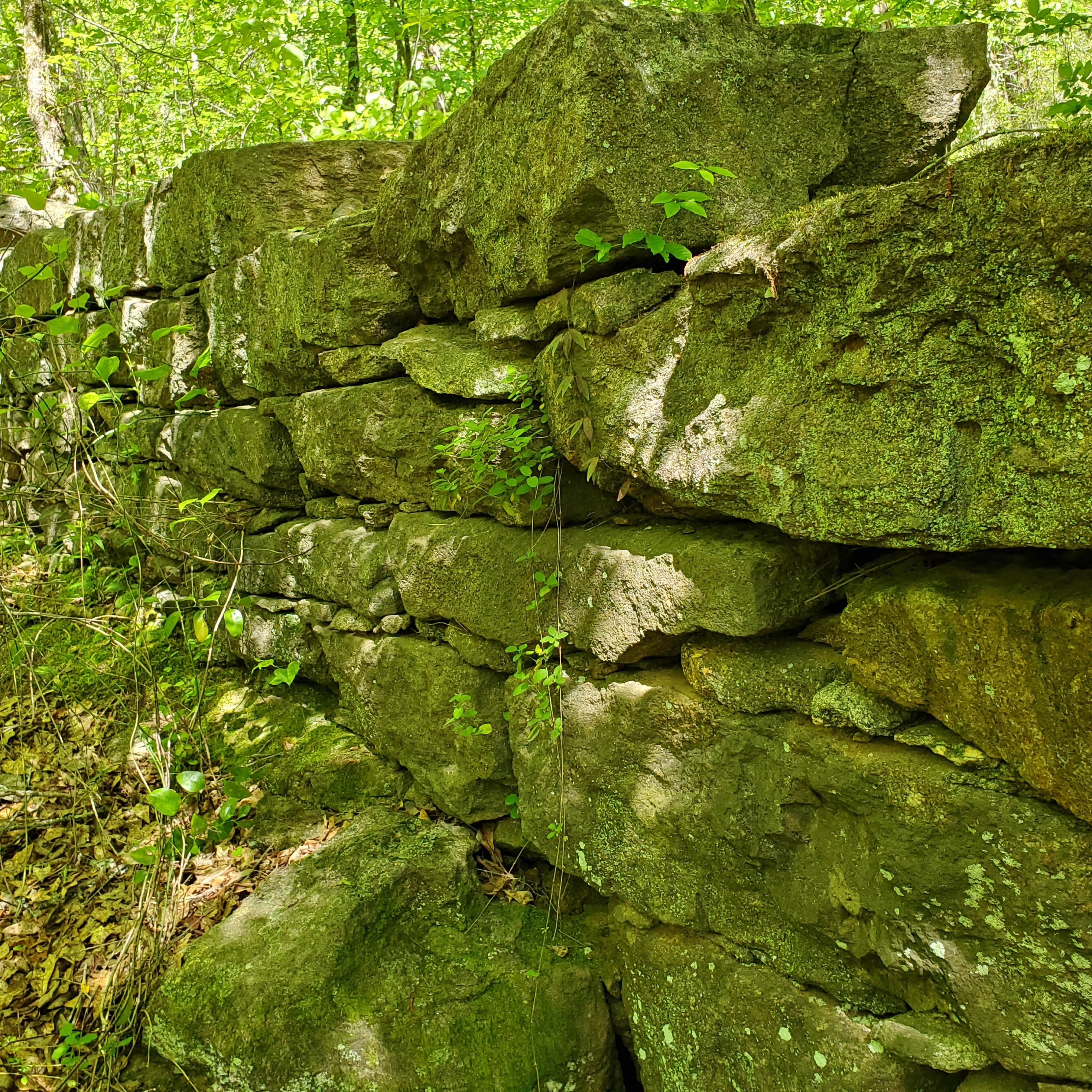 Camper submitted image from Newton Factory Shoals Rec Area - 4