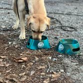 Review photo of Florence Marina State Park Campground by Jennifer N., February 29, 2024