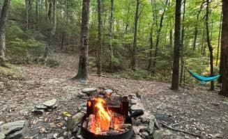 Meaghan G.'s photo at Fort Mountain State Park Backcountry Campsites near Crandall, GA