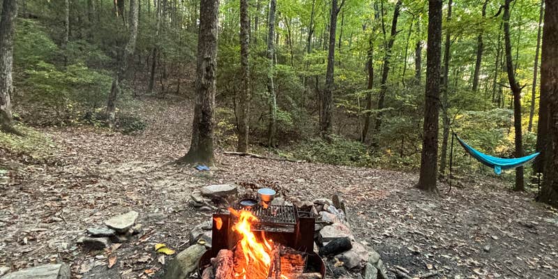 Camper submitted image from Fort Mountain State Park Backcountry Campsites