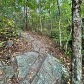 Review photo of Fort Mountain State Park Campground by Meaghan G., October 15, 2024