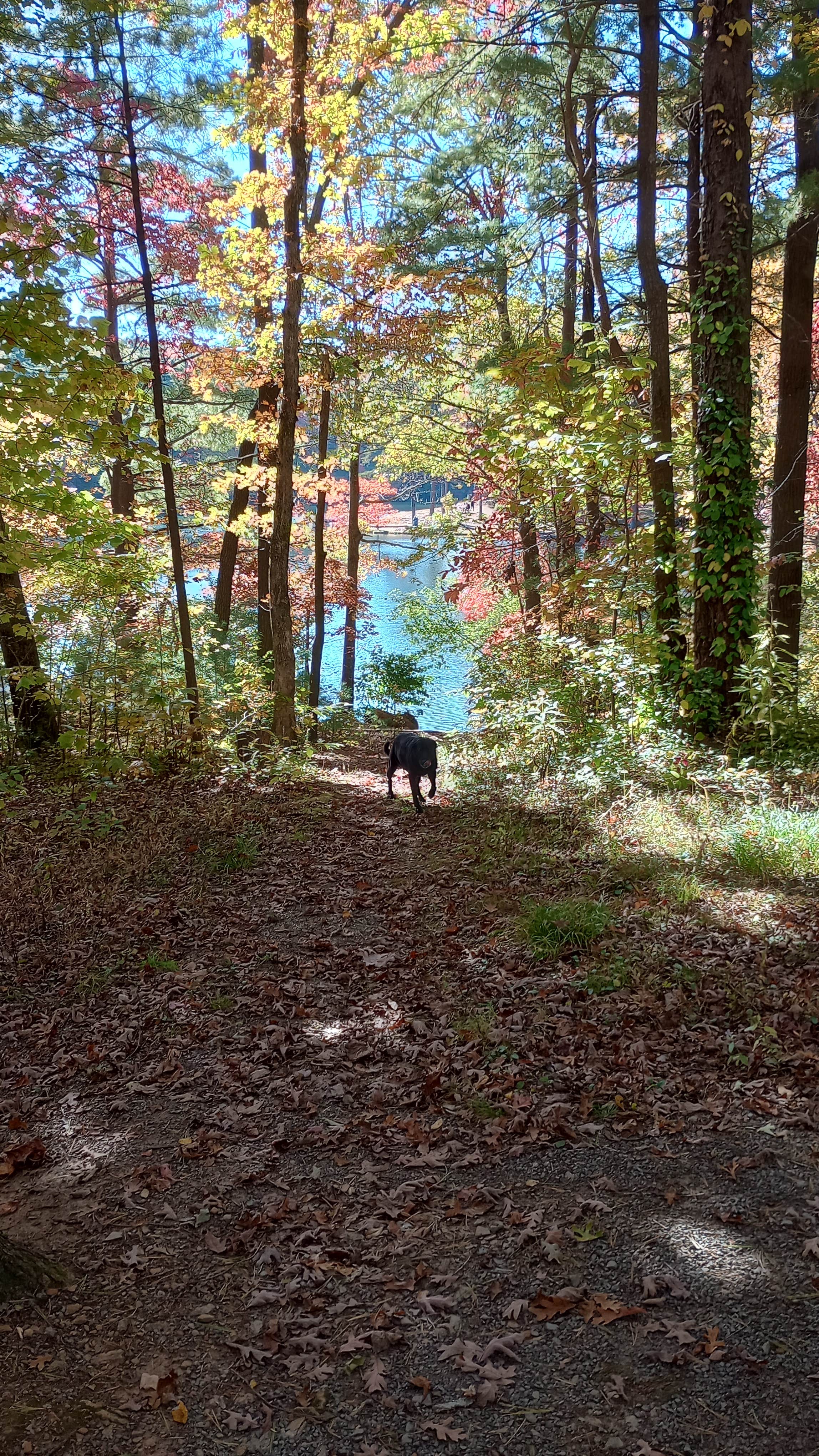 Paul B.'s photo of camping with pets at Fort Mountain State Park Campground near Eton, GA