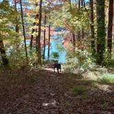 Review photo of Fort Mountain State Park Campground by Paul B., October 29, 2023