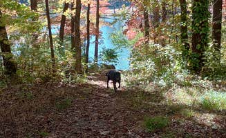Paul B.'s photo of camping with pets at Fort Mountain State Park Campground near Carters Lake