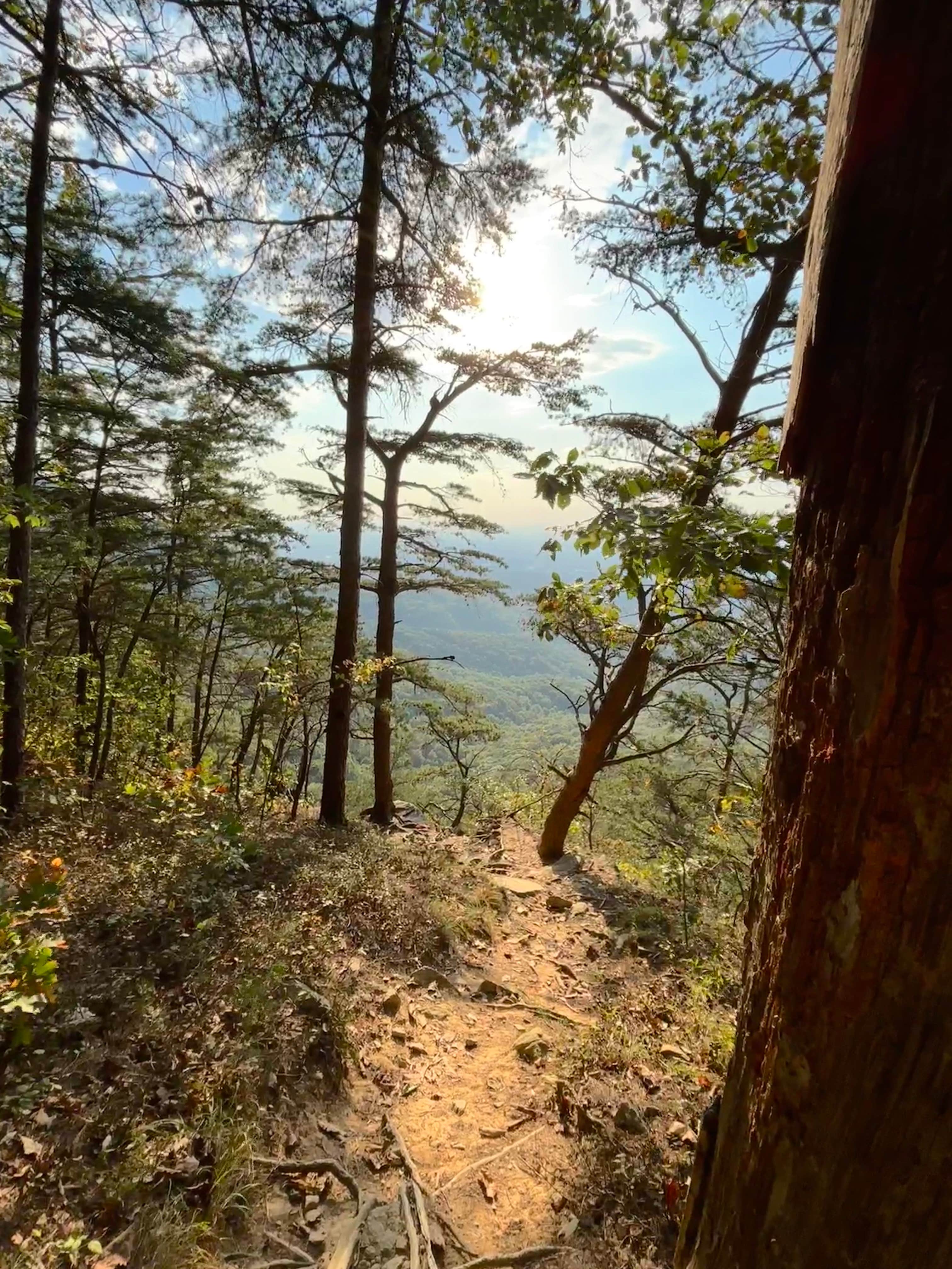 Camper submitted image from Fort Mountain State Park Backcountry Campsites - 2