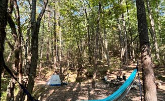 Meaghan G.'s photo of tent camping at Fort Mountain State Park Backcountry Campsites near Waleska, GA