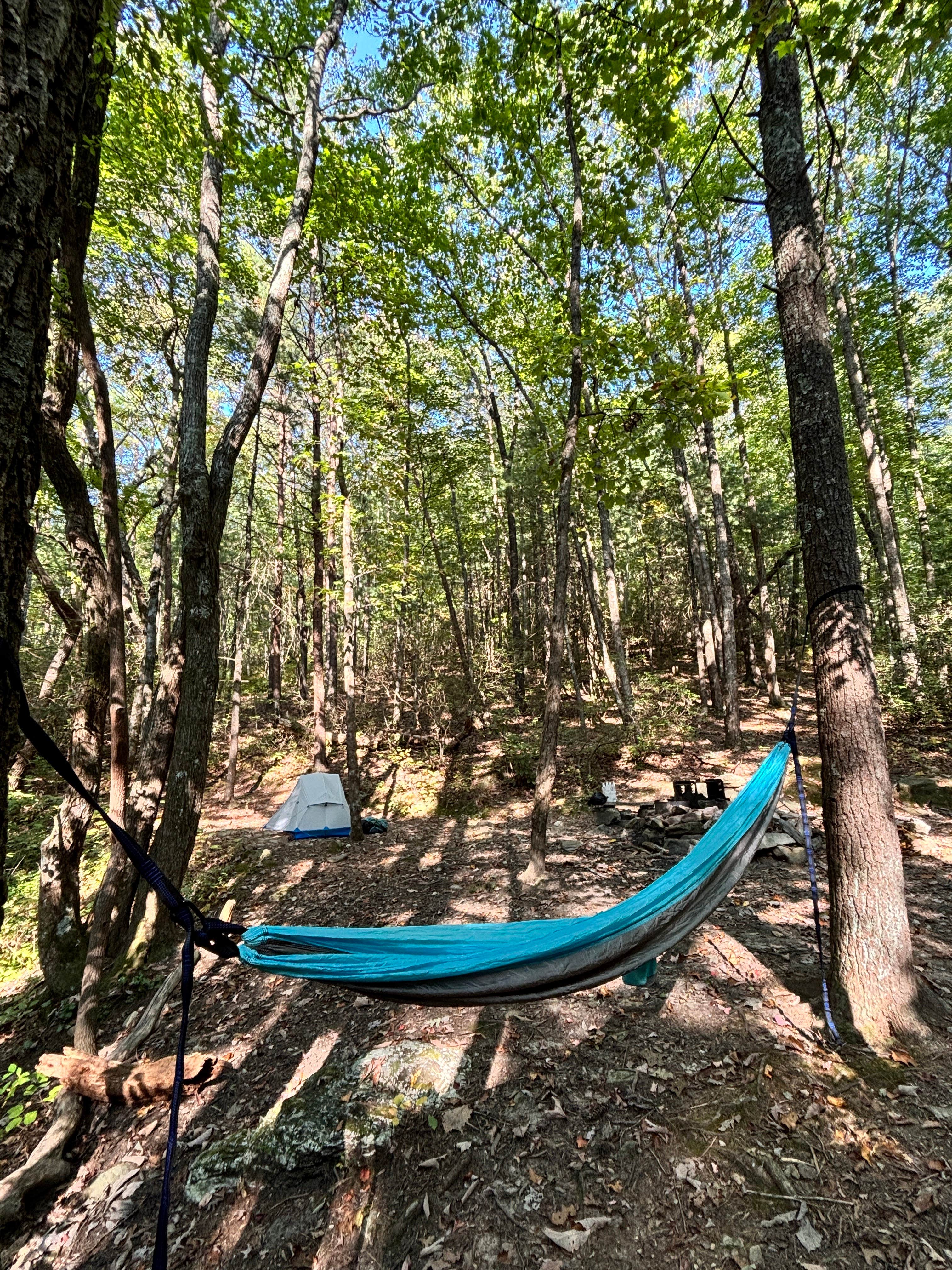 Camper submitted image from Fort Mountain State Park Backcountry Campsites - 3