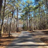 Review photo of Franklin D Roosevelt State Park Campground by Katie A., January 5, 2025