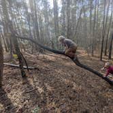 Review photo of Franklin D Roosevelt State Park Campground by Greg S., January 7, 2026
