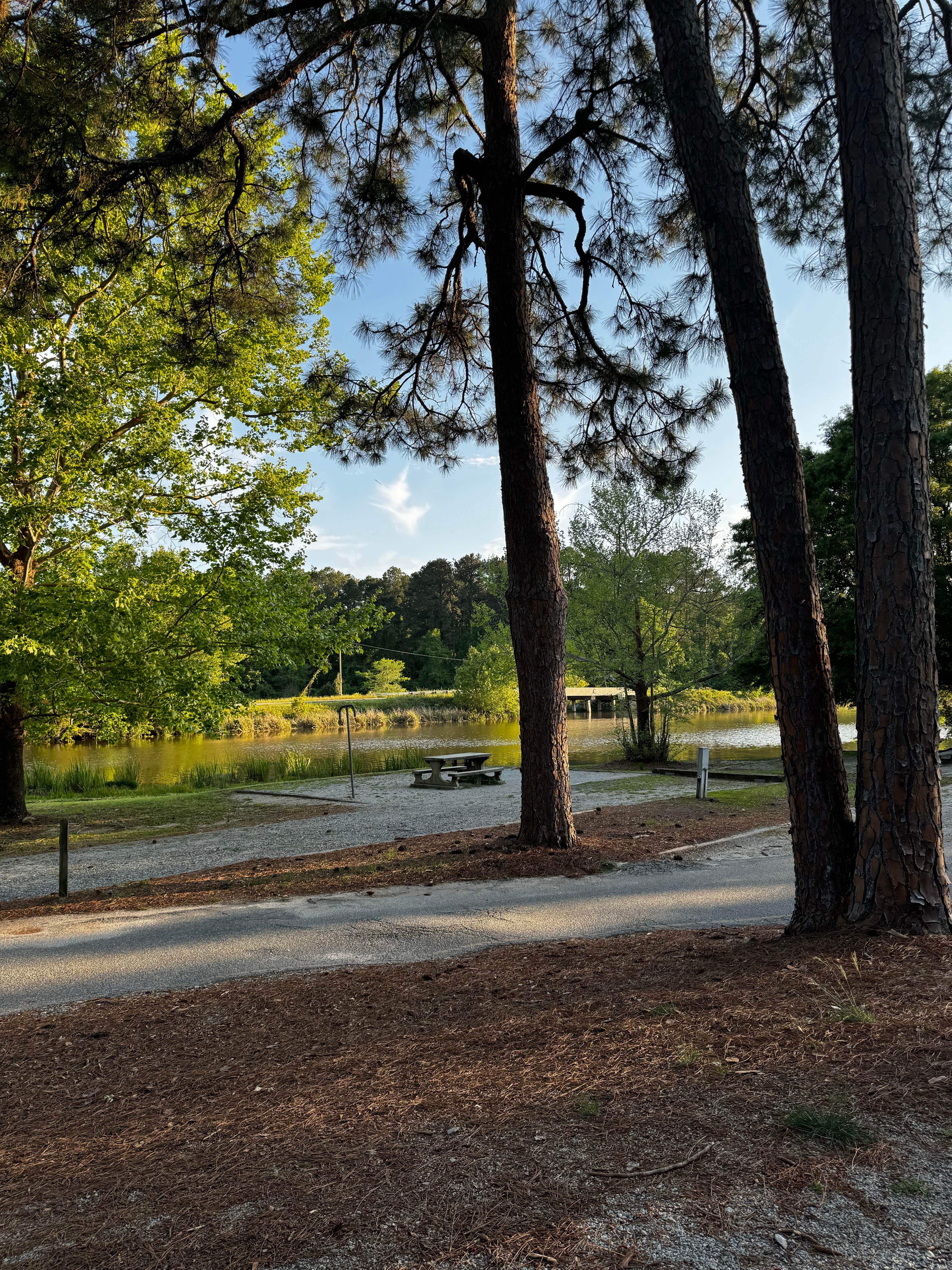 Camper-submitted photo at Georgia Veterans State Park Campground near Montezuma, GA