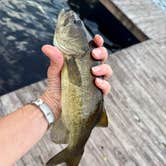 Review photo of Jack Hill State Park by G F., June 13, 2025