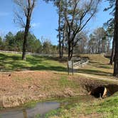 Review photo of Hamburg State Park Campground by Holly S., March 13, 2024